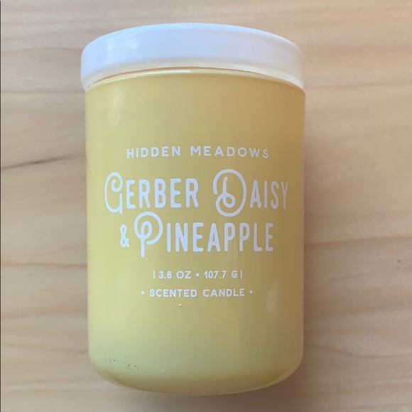 hidden meadows Other - Gerber Daisy & Pineapple Candle